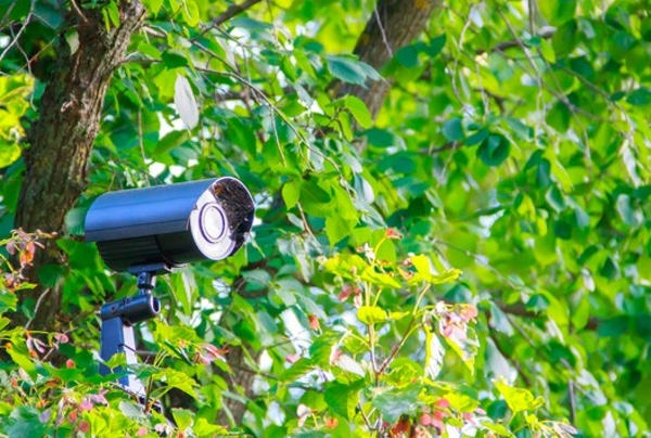 Cámaras Camufladas: Seguridad Discreta y Efectiva